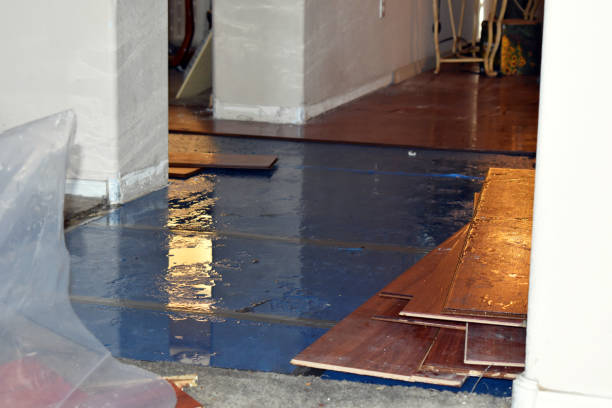 Professional Flood Cleanup technician working in Albertson, NY